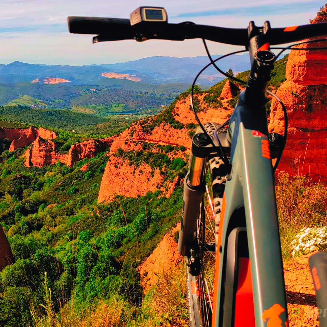 Experiencia de Enoturismo Personalizable