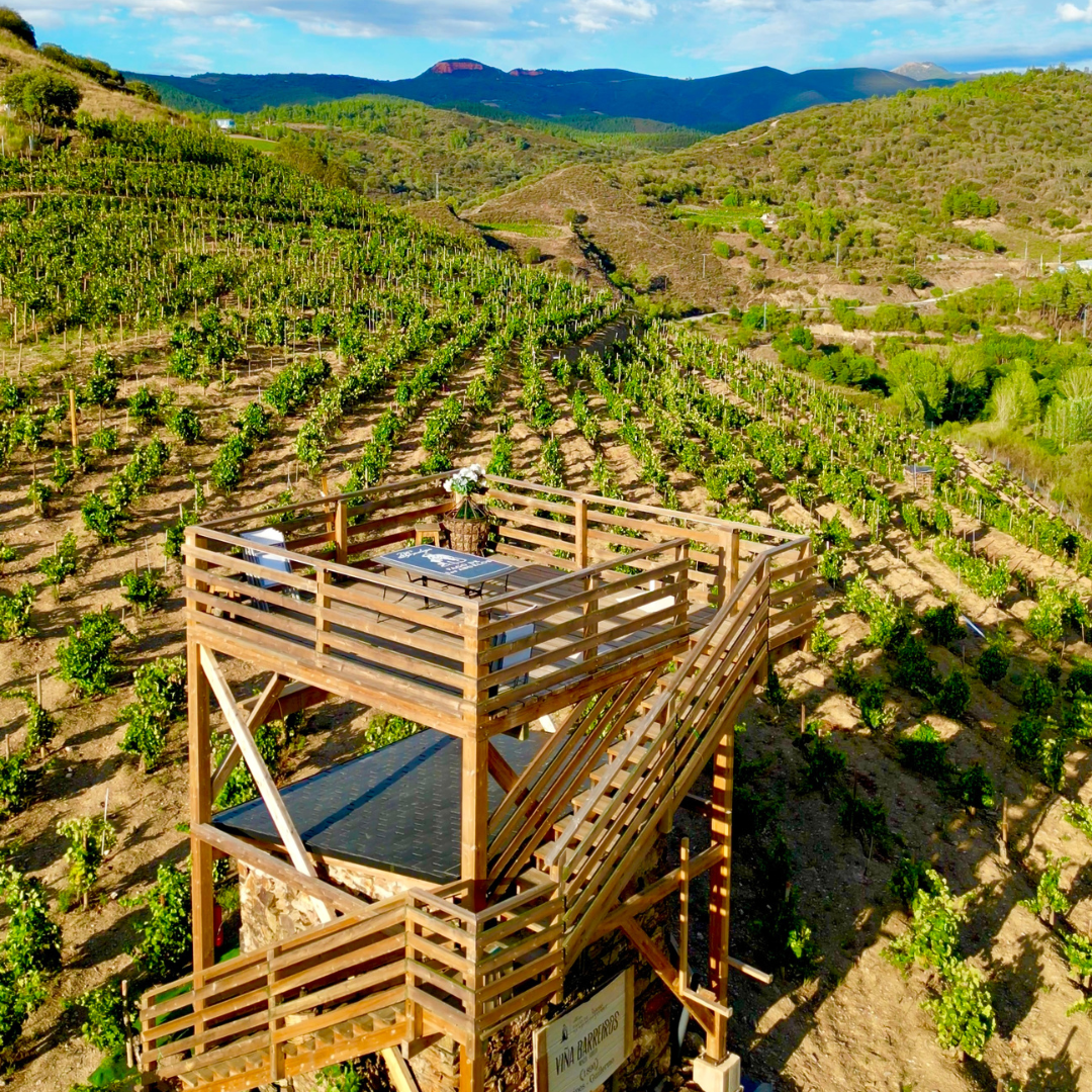 Mirador Viñedo Barreidos en el Bierzo