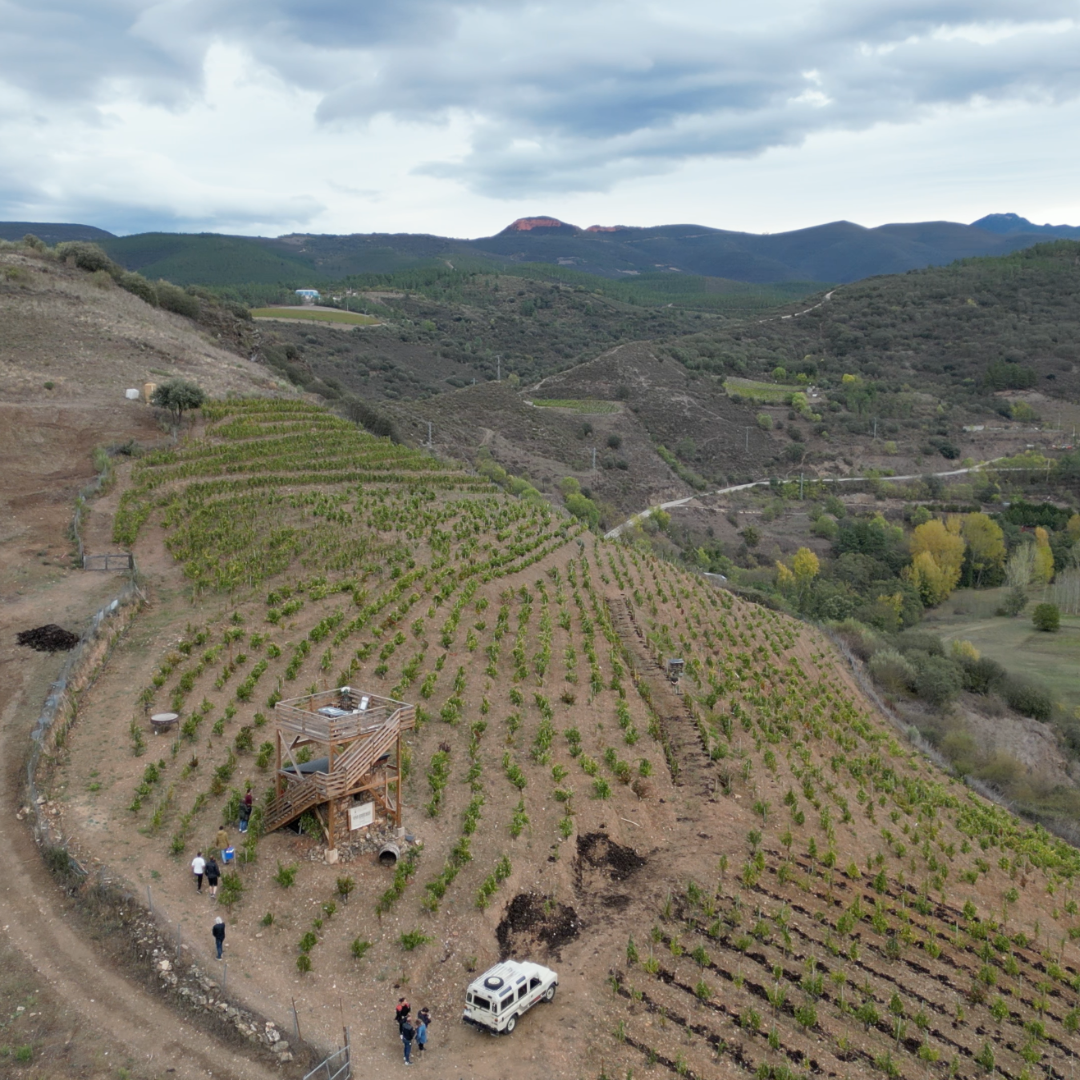 Bierzo - Valdeorras Experience with Food and Lodging